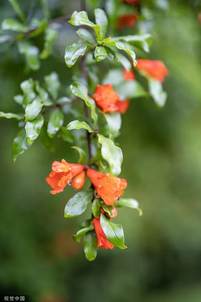 首页| 918博天堂集团中国官方网站